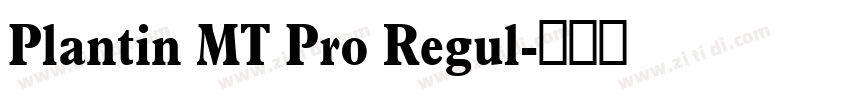 Plantin MT Pro Regul字体转换